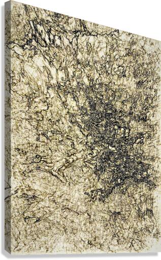 610 Canvas Print