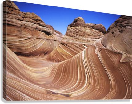 615 Canvas Print