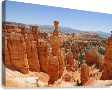 634 Canvas Print