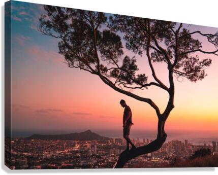 641 Canvas Print