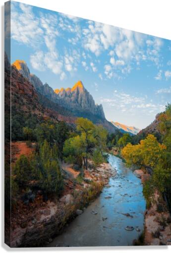 642 Canvas Print