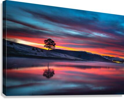 644 Canvas Print