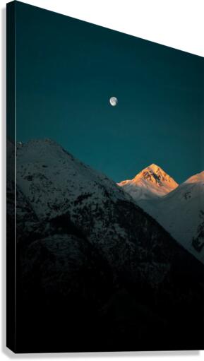 645 Canvas Print