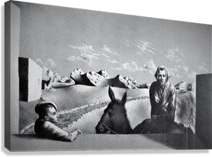 647 Canvas Print