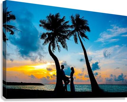 649 Canvas Print
