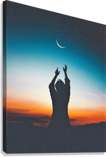 650 Canvas Print