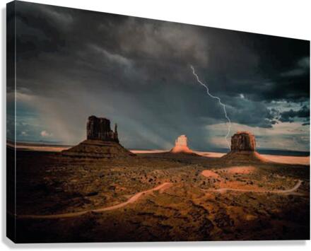 651 Canvas Print