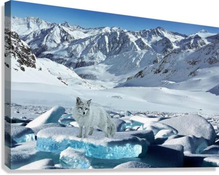 652 Canvas Print