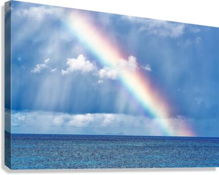 653 Canvas Print