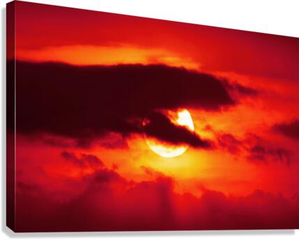 657 Canvas Print