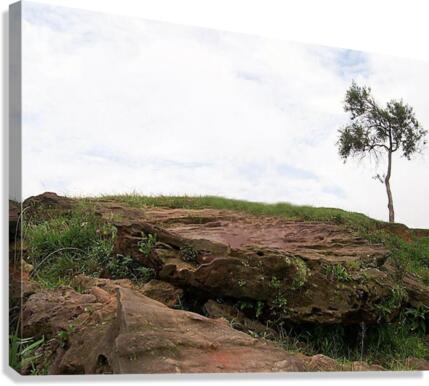 660 Canvas Print