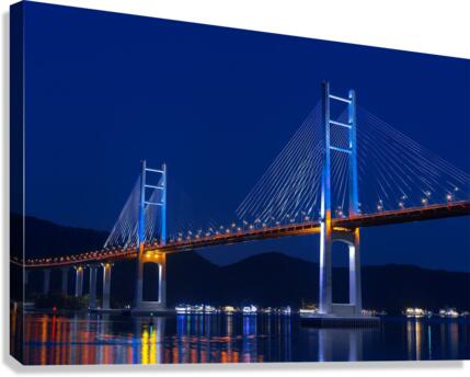 663 Canvas Print