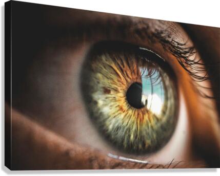 664 Canvas Print