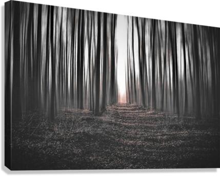681 Canvas Print