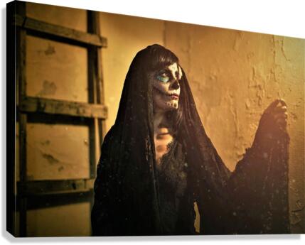 694 Canvas Print