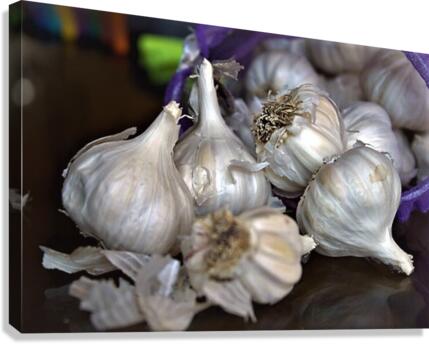 697 Canvas Print
