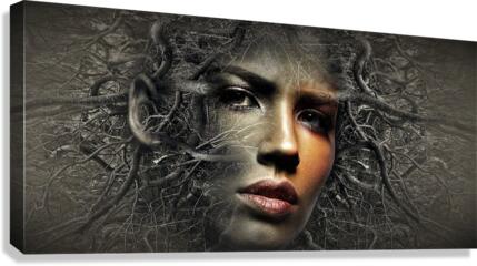 703 Canvas Print