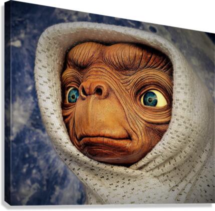 705 Canvas Print