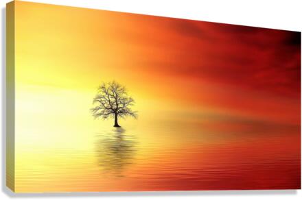 718 Canvas Print