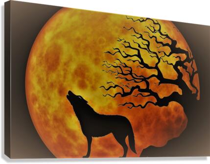 719 Canvas Print