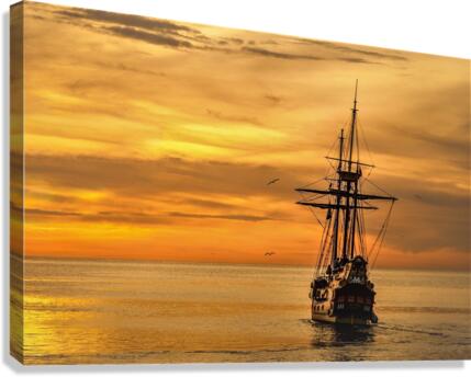 735 Canvas Print