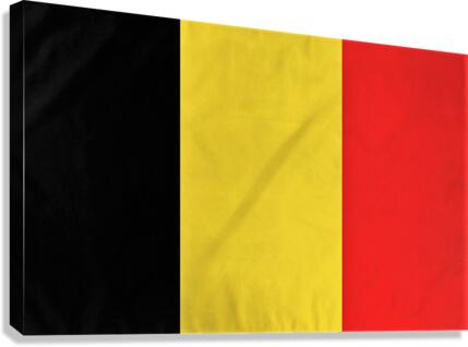 751 Canvas Print