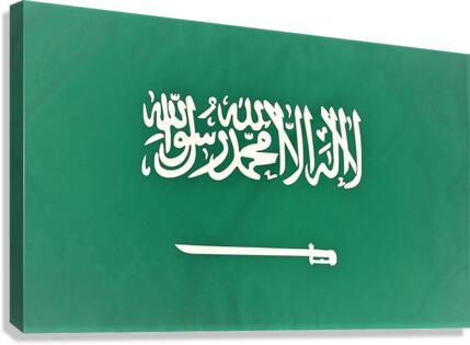 762 Canvas Print