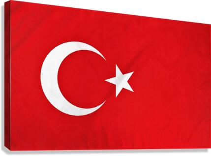 764 Canvas Print