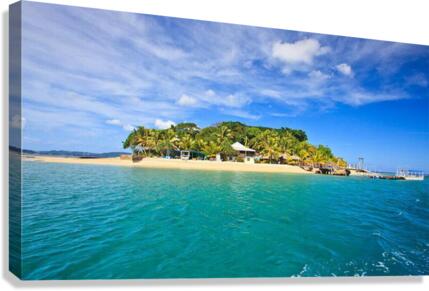771 Canvas Print