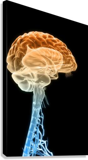 773 Canvas Print