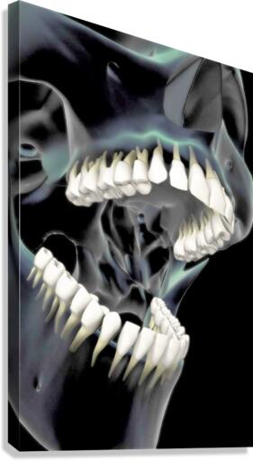782 Canvas Print