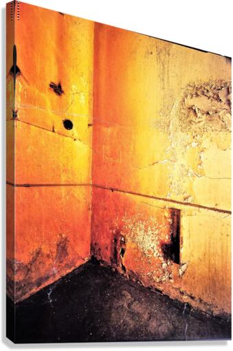 794 Canvas Print