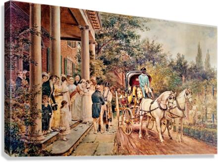 799 Canvas Print