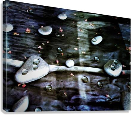 800 Canvas Print