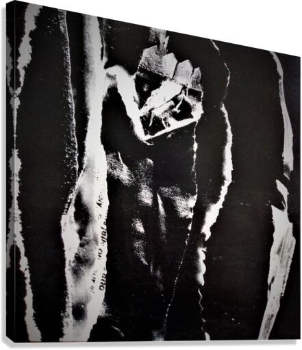 803 Canvas Print