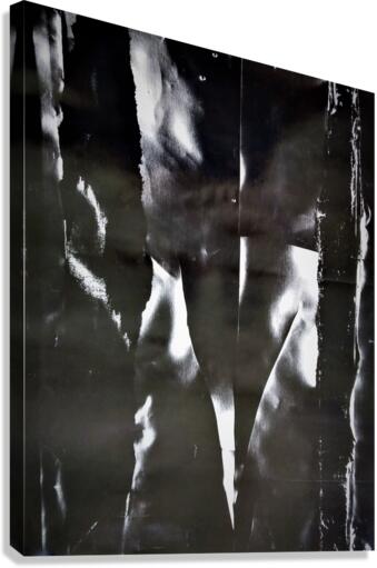 823 Canvas Print