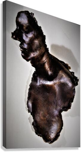 828 Canvas Print