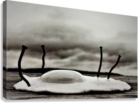 837 Canvas Print
