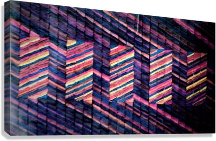 838 Canvas Print