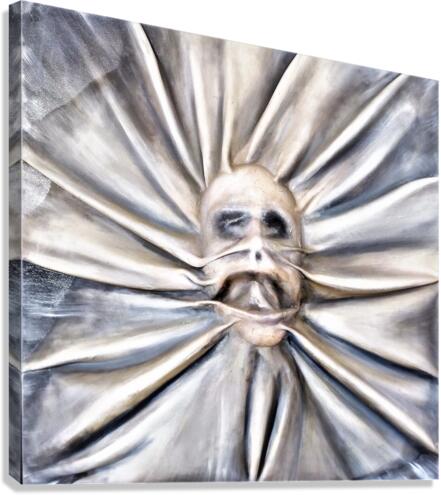 855 Canvas Print