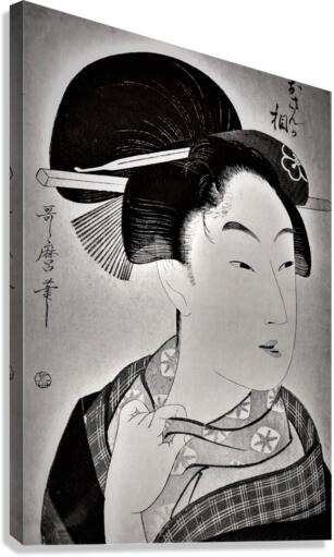 862 Canvas Print