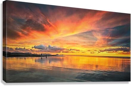 863 Canvas Print