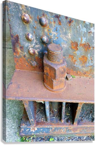 960 Canvas Print