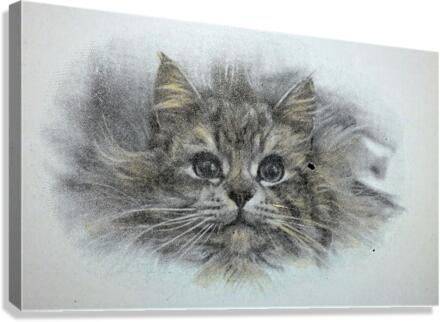 980 Canvas Print