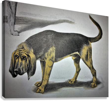 983 Canvas Print
