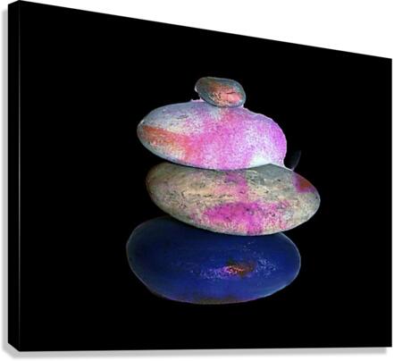 993 Canvas Print