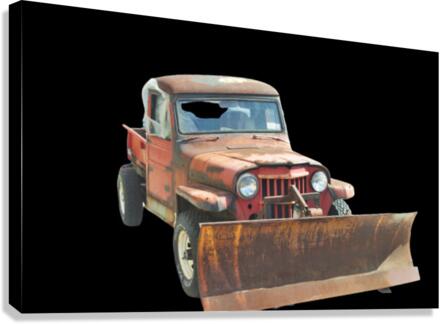 1014 Canvas Print