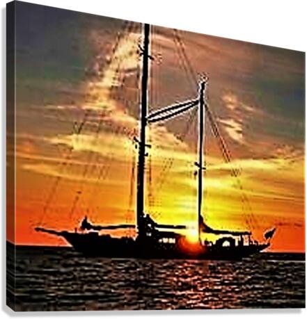 1018 Canvas Print