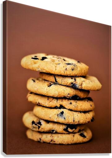 1020 Canvas Print