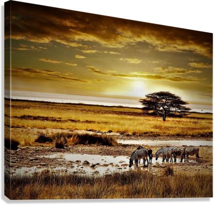 1021 Canvas Print